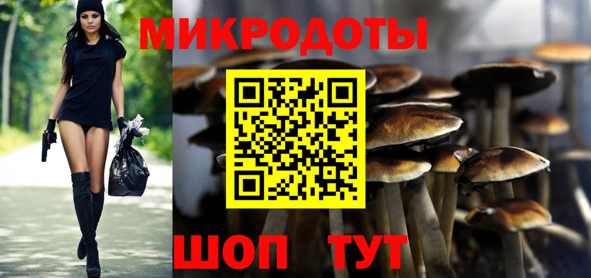 Воткинск  Галлюциногенные грибы Cubensis  Вход с VPN 